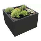 Palatino Pflanzkübel Palatino Clara Metall beschichtet 80 x 80 x 50 cm anthrazit