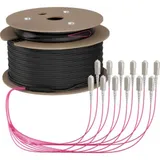 EFB-Elektronik EFB O8341S150OM4 Trunkkabel U-DQ(ZN)BH OM4 12G (1x12) SC-SC,150m Dca LSZH