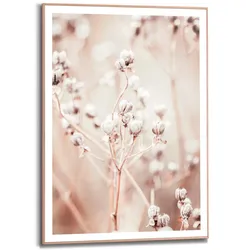Poster REINDERS "Getrockneter Zweig", beige (farbe bild(er): beige), B:50cm H:70cm T:1,6cm, MDF, Bilder