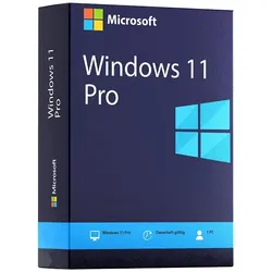 Windows 11 Pro Sofort Download