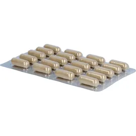 Luvos Heilerde Kapseln