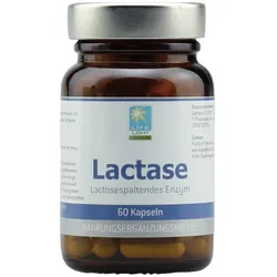 Lactase Kapseln
