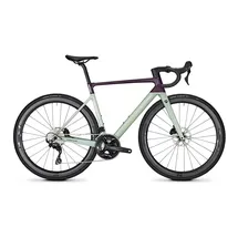 Focus Izalco Max 8.8 2024 28 Zoll RH 54 cm lila