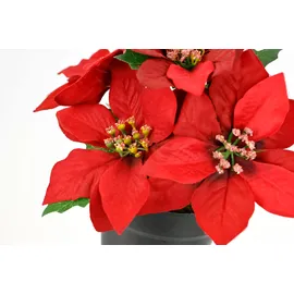 I.GE.A. Kunstblume I.GE.A. "Poinsettia im Topf", rot, B:16cm H:17cm L:16cm, Polyester, Kunstpflanzen, 2er Set Künstliche Blume Weihnachtsstern Christstern Weihnachtsdeko