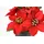 I.GE.A. Kunstblume I.GE.A. "Poinsettia im Topf", rot, B:16cm H:17cm L:16cm, Polyester, Kunstpflanzen, 2er Set Künstliche Blume Weihnachtsstern Christstern Weihnachtsdeko