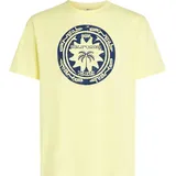 O'Neill O'neill Musthave Graphic T-shirt rainforest dew (12030) M