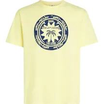 O'Neill O'neill Musthave Graphic T-shirt rainforest dew (12030) M