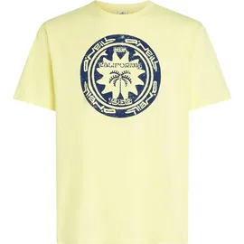 O'Neill O'neill Musthave Graphic T-shirt rainforest dew (12030) M