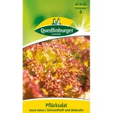 Quedlinburger Pflück Salat ''Lollo rossa''