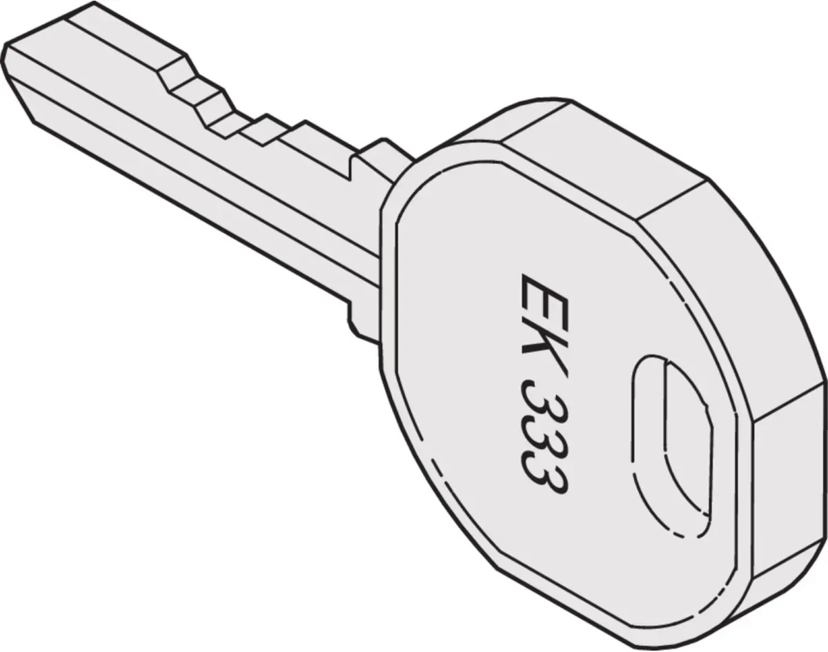 Schroff Ersatzschlüssel 60220003