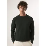 Felix Hardy Rundhalspullover FELIX HARDY "Basic-Pullover mit Rundhalsausschnitt", Herren, Gr. XL, grün, 100% Baumwolle, Pullover Rundhalspullover