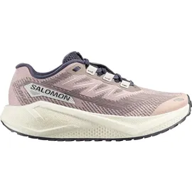 Salomon Aero Blaze 3 Damen Grau/Silber 42,5