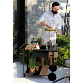 Zebra Technologies Zebra Somerset, Trolley graphite