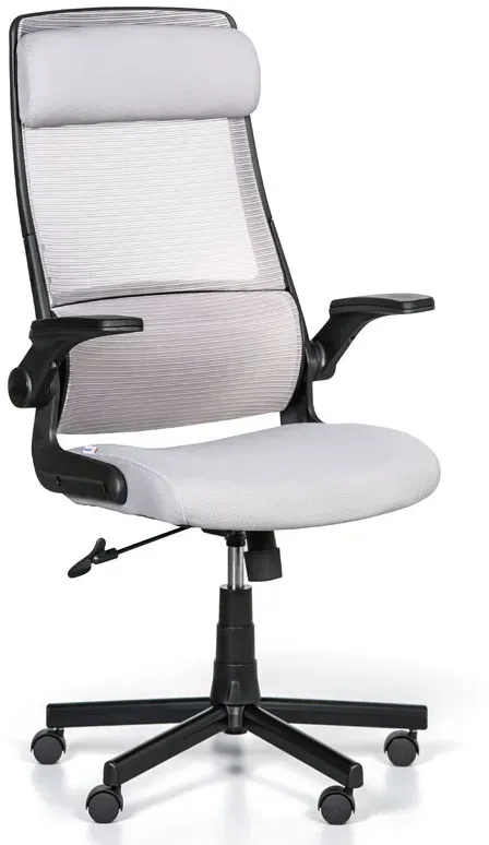 Bürostuhl EIGER, grau