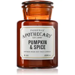 Paddywax Apothecary Pumpkin Spice Duftkerze 226 g