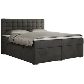 MKS Boxbett, SUSAN 160/200 Dunkelgrau Velvet - H3