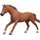 Schleich Horse Club Englisches Vollblut Hengst 14915