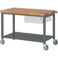 Stier Fahrbare Werkbank Premium mit 1 Schublade und Ablageboden