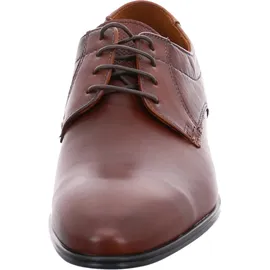 LLOYD Osmond dunkelbraun 45