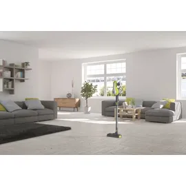 Hoover HF1 Home grau|grün