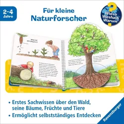 Der Wald