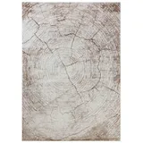 Mazovia Designteppich Holzstruktur Wohnzimmer, Schlafzimmer, Esszimmer, Büro, 160 x 230 cm, Fußbodenheizung beige|braun 160 x 230 cm