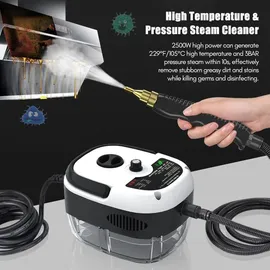 Decdeal Tragbarer Dampfreiniger 2500W weiß