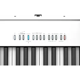 Roland FP-30X