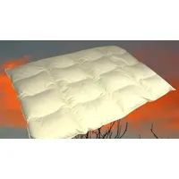 Betten Hofmann 4-Kammer Daunenbett Steppdecke Daunendecke 135x200 cm 1200 g 60% Daunen warm