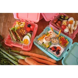 Klarstein schmatzfatz easy Snackbox 4 Fächer 18 x 15 x 5 cm (BxHxT) Bonbonrosa