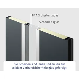 Hörmann EcoStar ISOPRO Secur IPS 700S links 110 x 210 cm terrabraun