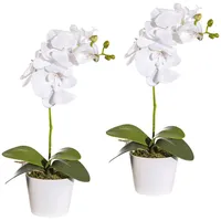 Kunstpflanze Orchidee Phalaenopsis Orchidee, Creativ green, Höhe 40 cm, im Keramiktopf weiß