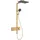 Hansgrohe Raindance Alive Q Duschsystem 210/340 2-jet 24591140