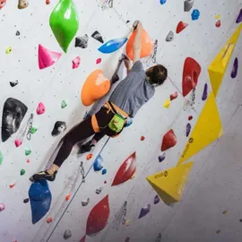 YY Vertical T-rex Chalkbag Chalkbag Grün