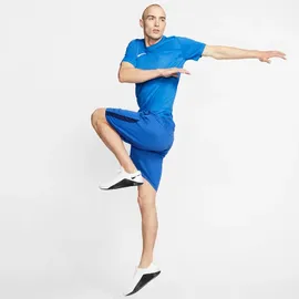 Nike Park VII royal blue/white L