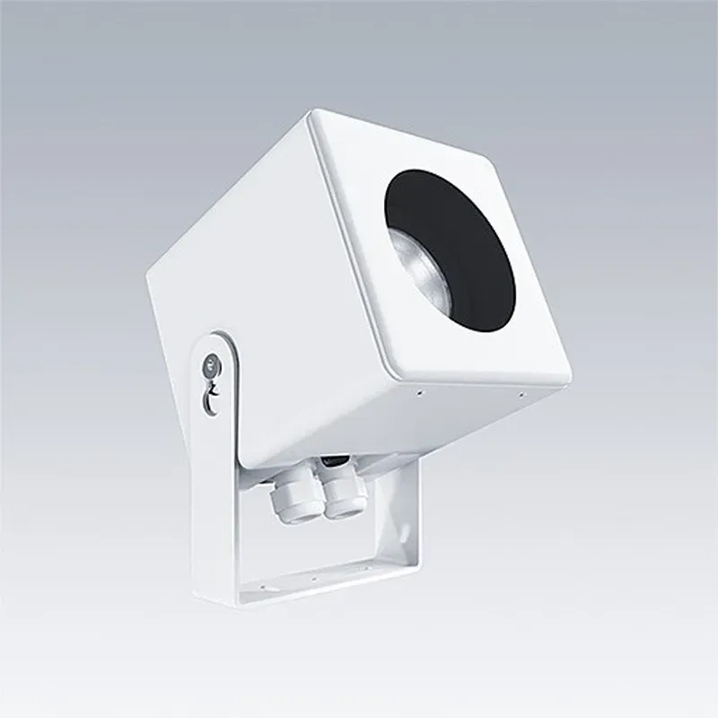 Thorn LED-Architekturfluter CAELON S12 #21035561