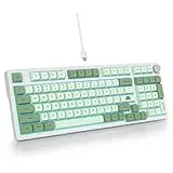 SOLIDEE Verkabelte 95% Mechanische Gaming-Tastatur,Hot-Swap-Fähige Mechanische Tastatur,Gasket Struktur RGB Hintergrundbeleuchtung,98 Tasten Mechanische Tastatur mit Drehknopf,NKRO-Tastatur(98 Matcha)