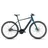 28 Zoll RH 54 cm goblin ́n ́glossy