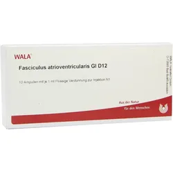 Fasciculus Atrioventricularis GL D 12 Am 10X1 ml