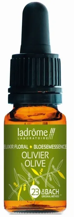 Ladrôme Olivier Nr. 23