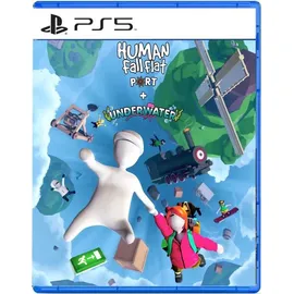 Human: Fall Flat - Dream Collection (PEGI) (PS5)