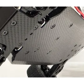 Drive & Fly Models RC-Buggy Z06 Light Buggy 1:14 RTR