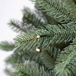 Evergreen Vermont Fichte Grün 210 cm
