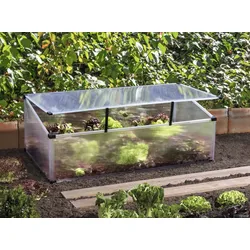 Vitavia Frühbeet Feronia mit Aufstelldach alu-natur