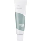 Isntree Mugwort Calming Cream 50 ml