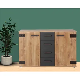 WIMEX Kombikommode 130 x 83 x 41 cm Beige / Grau