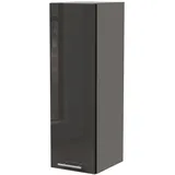 Feldmann-Wohnen Hängeschrank Essen 30 x 32,5 x 96 cm Grau