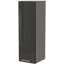 Feldmann-Wohnen Hängeschrank Essen 30 x 32,5 x 96 cm Grau