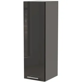 Feldmann-Wohnen Hängeschrank Essen 30 x 32,5 x 96 cm Grau