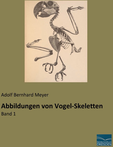 Abbildungen Von Vogel-Skeletten  Kartoniert (TB)